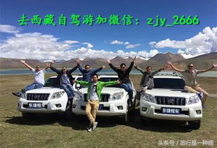 川藏线租车自驾游是否需要购买保险？